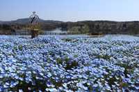 next post eyecatch img