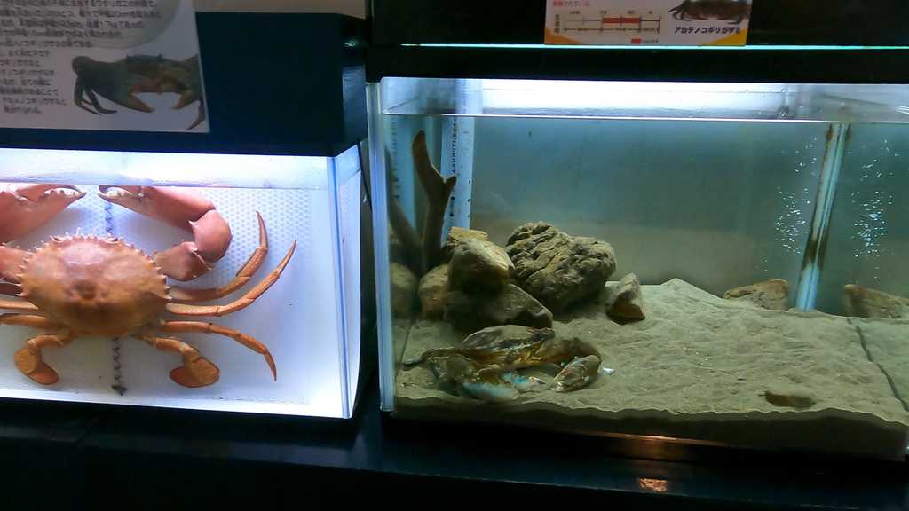 第二駐車場から