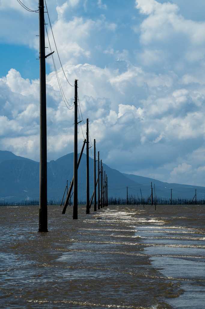 海に続く電柱の列を縦アングルで
