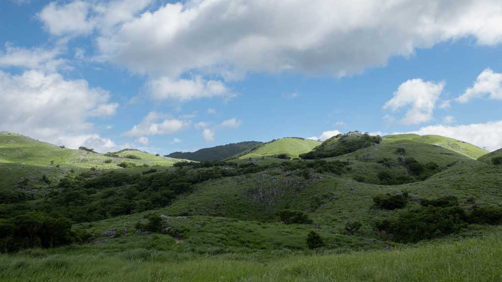 平尾台の草原と石灰岩の景色