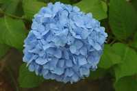 next post eyecatch img