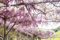 previous post eyecatch img