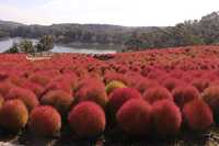 previous post eyecatch img