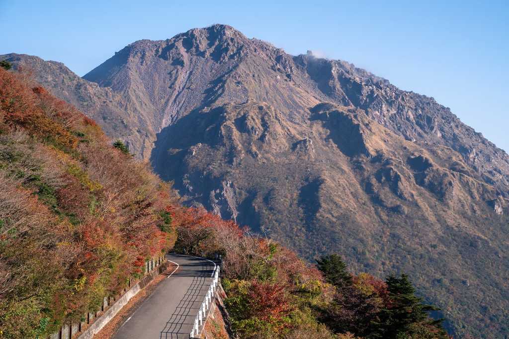 紅葉の中を走る道路